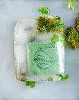 Soap / Soap & Courage / Wild Moss & Coriander / MOQ 2 (Launching August)